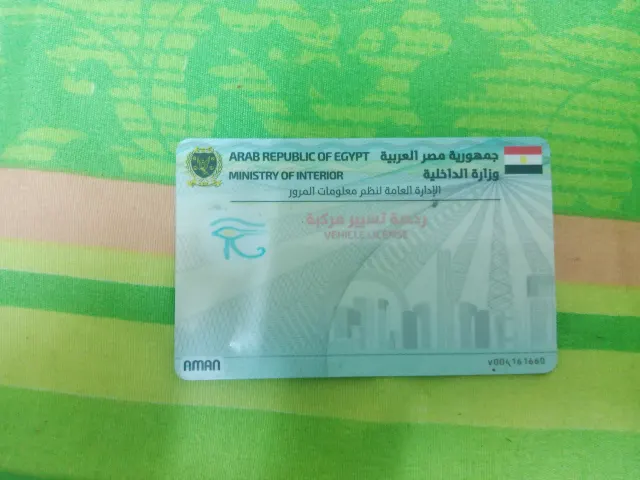هوجان 4. 2026